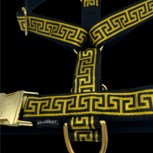 harnais pour chien jaune