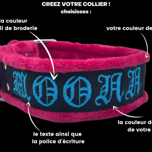 collier chien polaire personnalisé