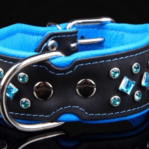 collier en cuir pour chien avec strass