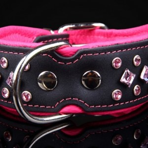 collier en cuir pour chien avec strass
