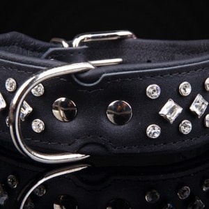 collier en cuir pour chien avec strass