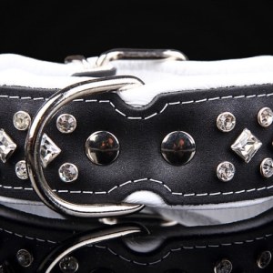 collier en cuir pour chien avec strass