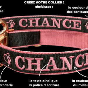 collier et laisse pour chien personnalisé