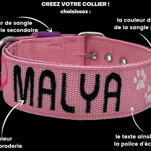 collier pour chien personnalisé